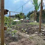 La Castellina